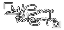 AMSnow Photography
